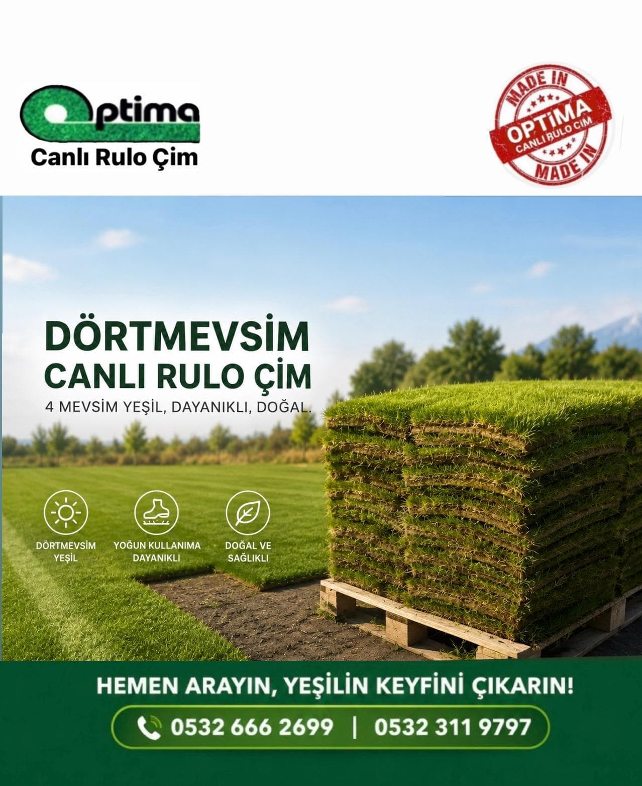 Optima Çim serim hazırlığı